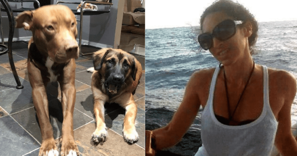 Woman mauled to death by her two dogs in her own backyard while trying ...